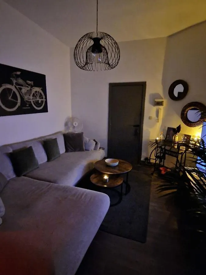 Ailes Center 3 Apartment Brussels 0*,